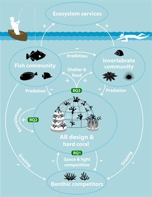 Community-managed coral reef restoration in southern Kenya initiates reef recovery using various artificial reef designs